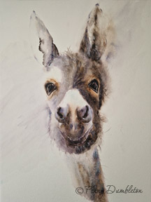 Watercolours by Penny - Donkey