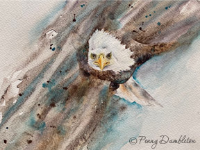 Watercolours by Penny - Eagle