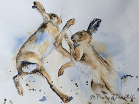 Watercolours by Penny - Fight