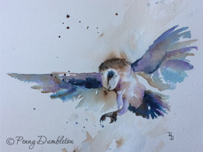 Watercolours by Penny - Flight