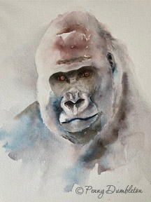 Watercolours by Penny - Gorilla