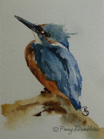 Watercolours by Penny - Kingfisher