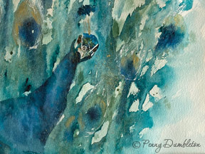 Watercolours by Penny - Looking at you