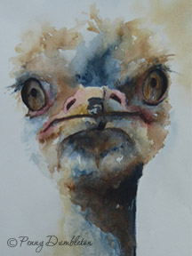Watercolours by Penny - Ostrich