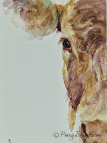 Watercolours by Penny - Peeking2