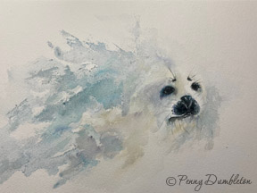 Watercolours by Penny - Seal