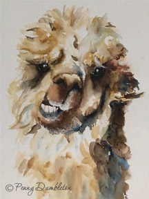 Watercolours by Penny - Spitonyou