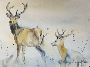 Watercolours by Penny - Stags