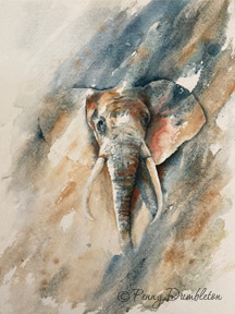 Watercolours by Penny - Tusk