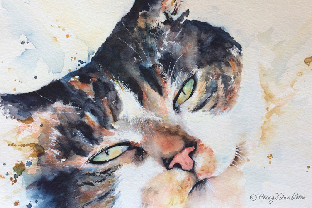 Watercolours by Penny - Pet Portraits