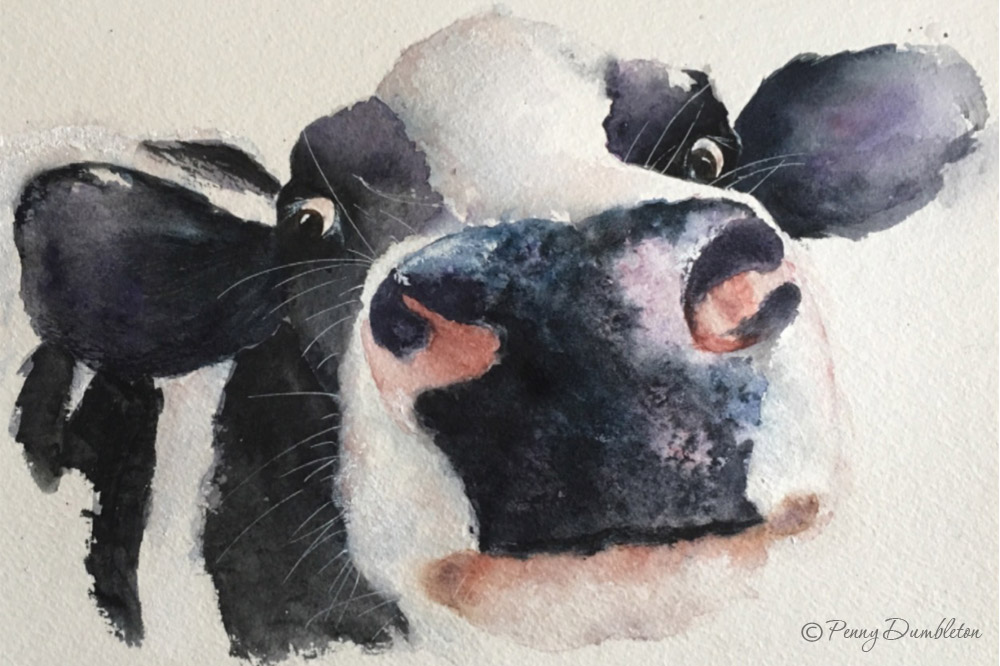 Watercolours by Penny - Shop