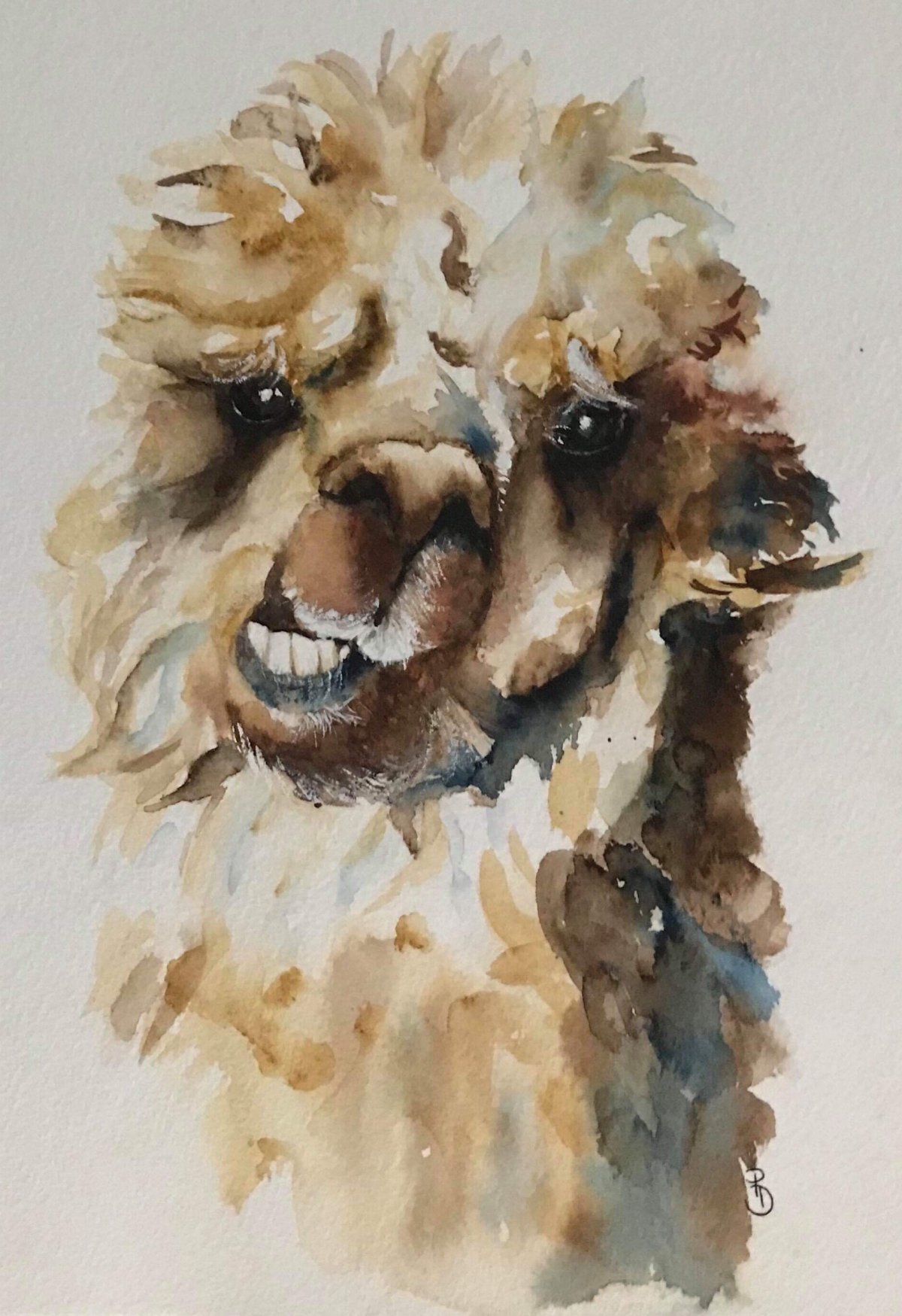 Watercolours by Penny - Contact Me