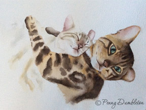 Watercolours by Penny - Pet Portraits 14