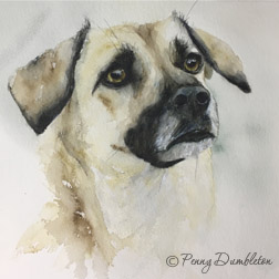Watercolours by Penny - Pet Portraits 11