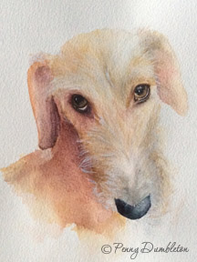 Watercolours by Penny - Pet Portraits 15