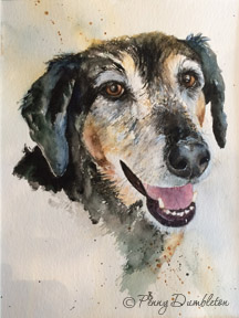 Watercolours by Penny - Pet Portraits 13