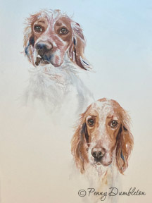 Watercolours by Penny - Pet Portraits 20